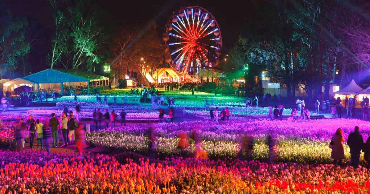 Flowers festival in Canberra