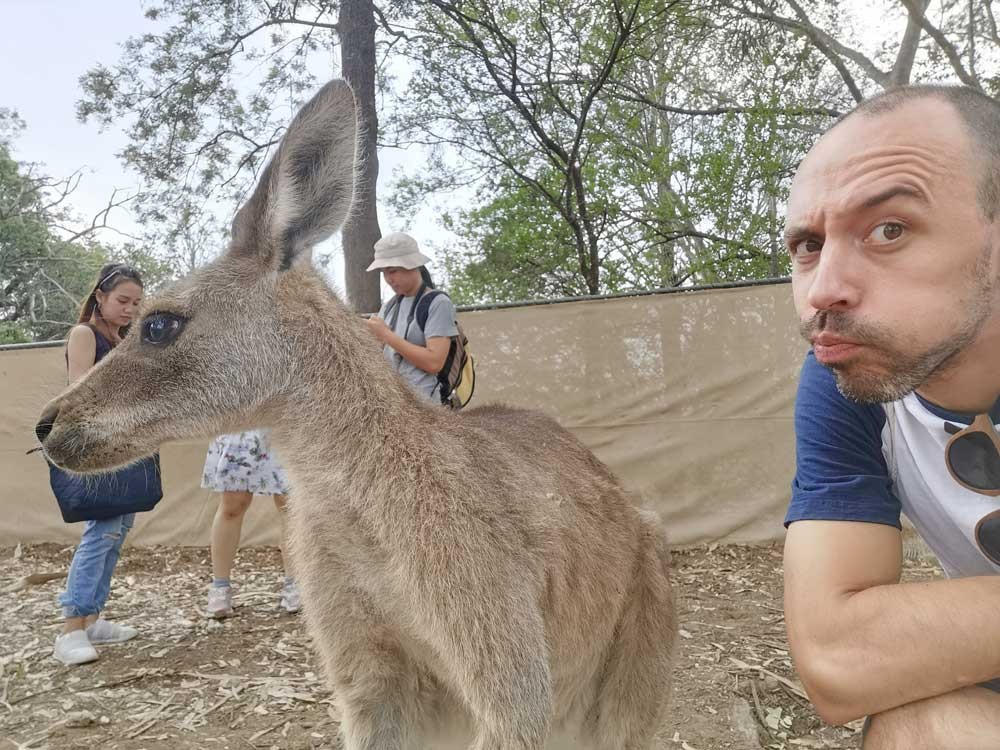 Chico con canguro