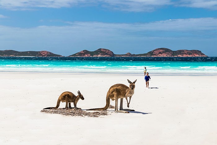 La mejor playa del mundo está en Australia, Lucky Bay