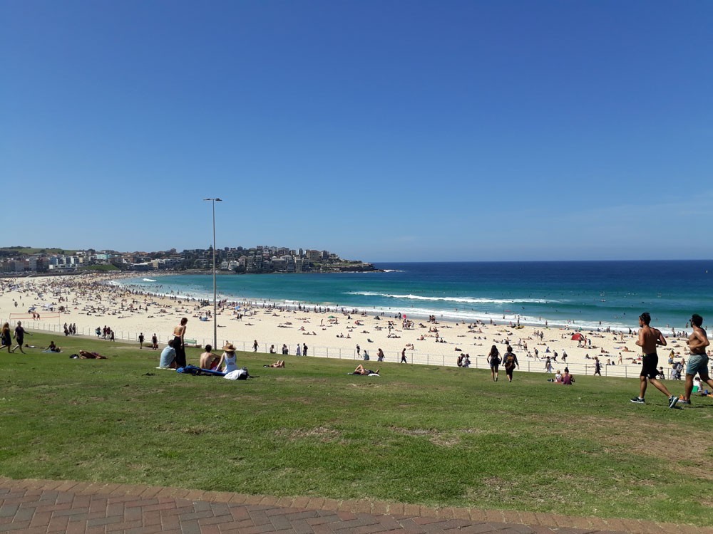 Bondi Beach