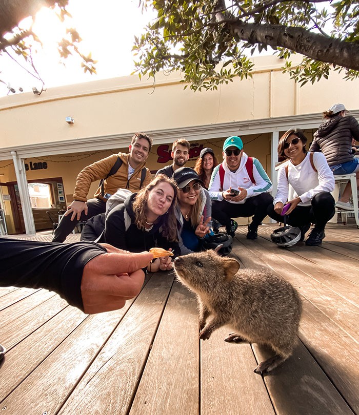 Viaje a Rottnest Island, quokkas